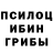 Галлюциногенные грибы Magic Shrooms Anonimus Roblokser