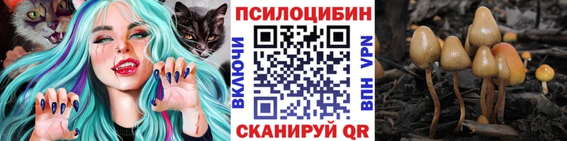 Купить закладки  Стародуб  Галлюциногенные грибы мухоморы 