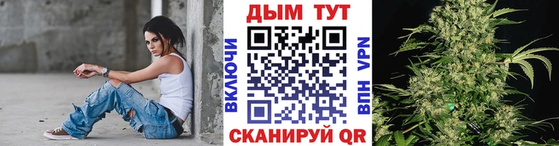 Конопля OG Kush  Купить  Стародуб 